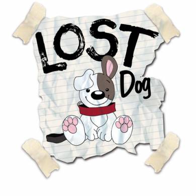 city of chicago lost pet recovery lost dog 390x390