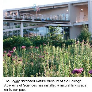 Photo of the Peggy Notebaert Nature Museum of Chicago Academy of Sciences has installed a natural landscape on its campus.