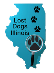 Lost Dog Illinois