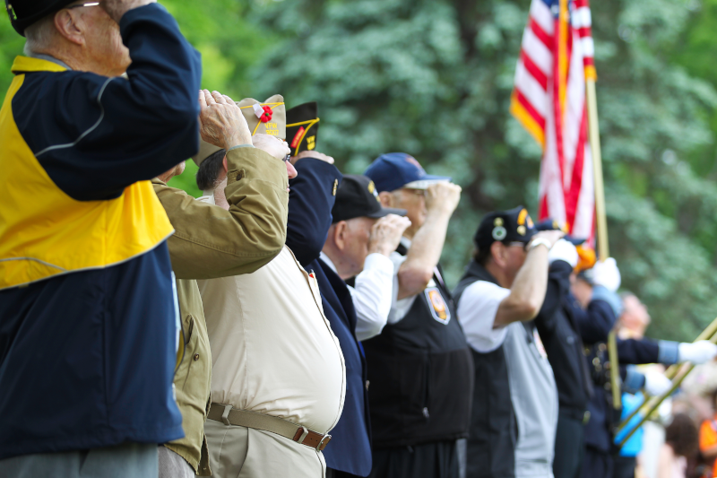 veterans saluting