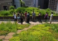 Green Roof Tour