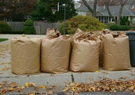 Separate Yard Waste Collection