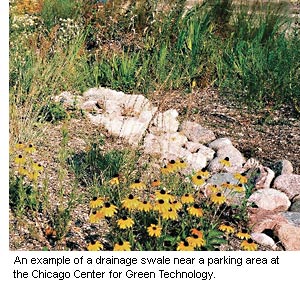 An example of a drainage swale with wild flowers and large stones near a parking area at the Chicago Center for Green Technology.