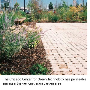 Photograph of the  permeable paving in the demonstration garden area at the Chicago Center for Green Technology.